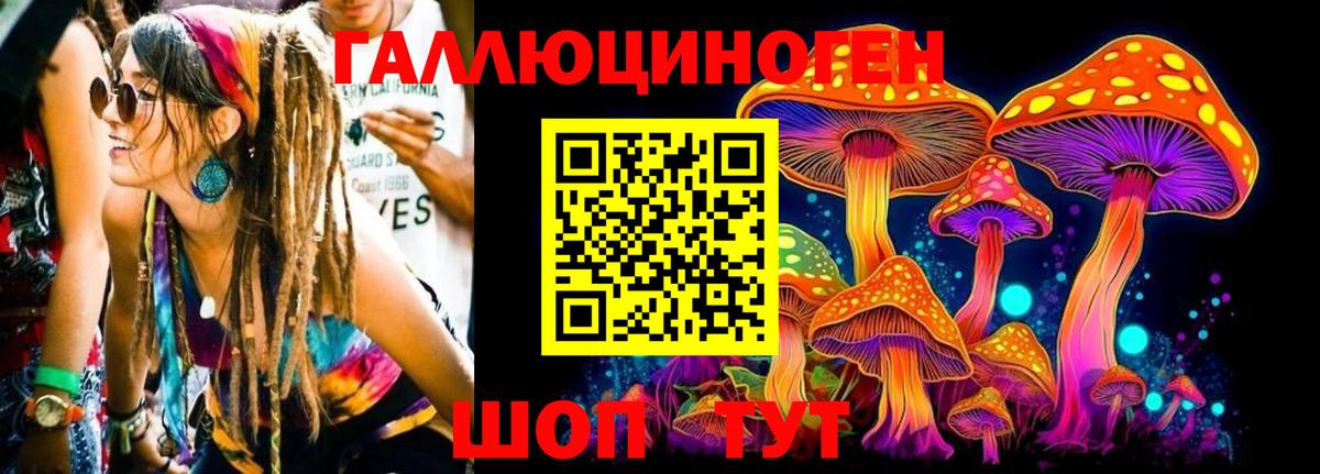 Галлюциногенные грибы Cubensis Азов